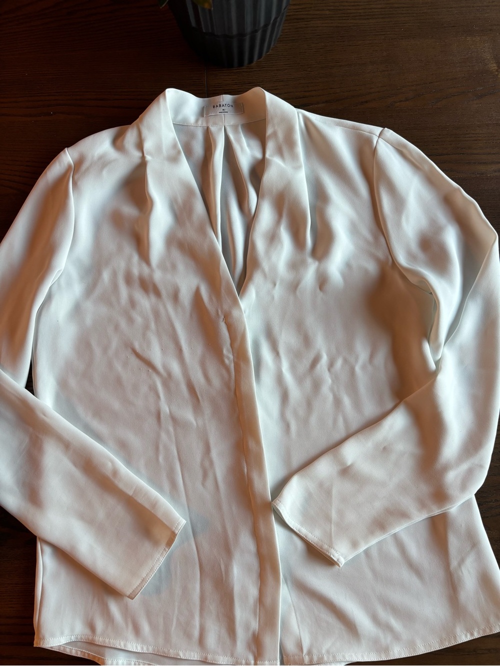 Aritzia Babaton Power Blouse